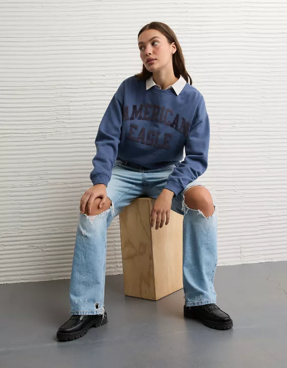 AE Velvet Graphic Crew Neck Sweatshirt - Image 5