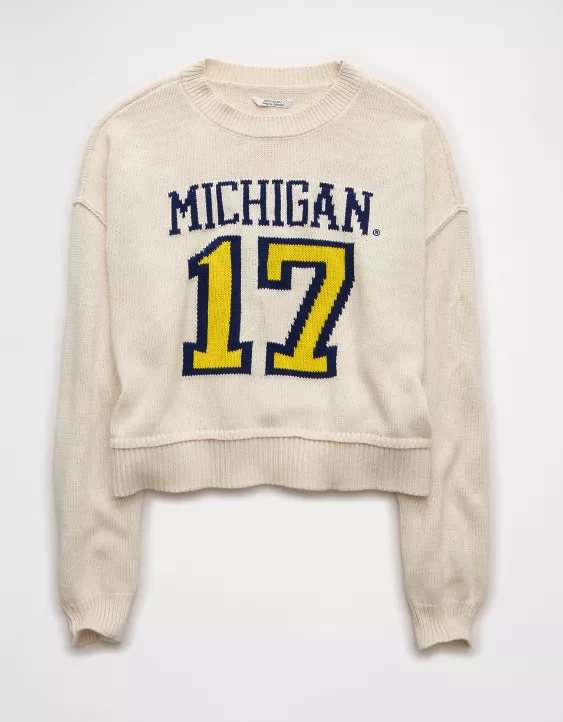 AE Michigan Wolverines Cropped Sweater - Image 3