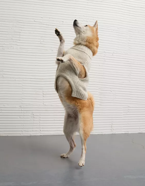 ABO Après-Ski Dog Sweater - Image 6