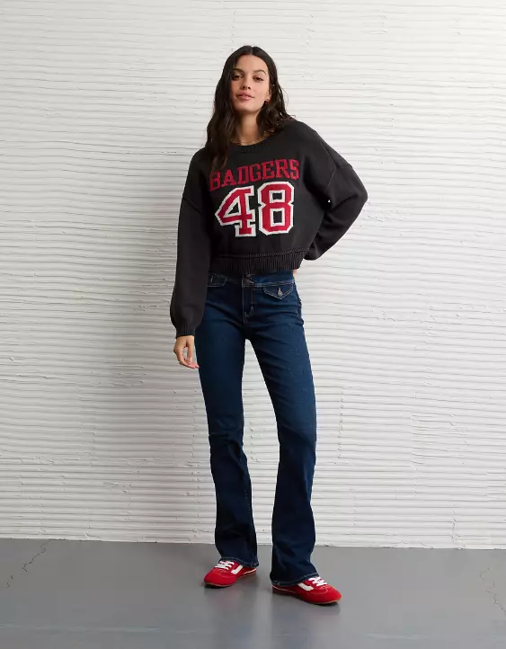 AE Wisconsin Badgers Cropped Sweater - Image 5