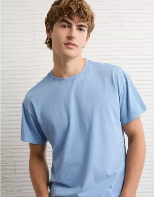 AE Shrunken Fit T-Shirt