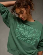 AE Funday Crew Neck Sweatshirt